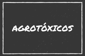 Agrotóxicos, assunto polêmico!!!