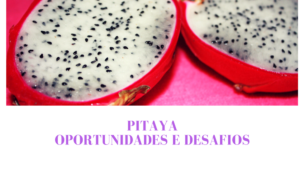 pitaya