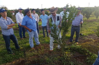 Dia de Campo em Pirapora