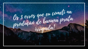 Os 3 erros que eu cometi na produção de banana prata irrigada!