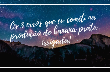 Os 3 erros que eu cometi na produção de banana prata irrigada!